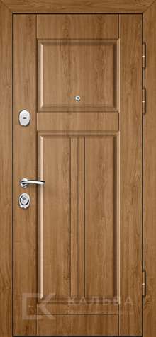 Фото «Уличная дверь №27»